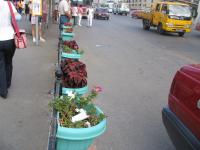 Albums/20060800-China Aug 2006/20060801-Shenyang/29